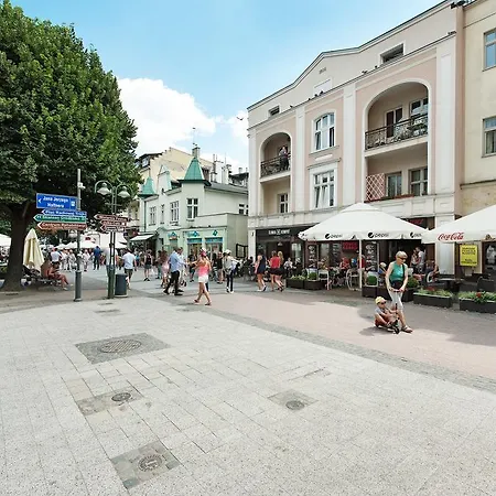 Lion - Monte Cassino 42 Sopot